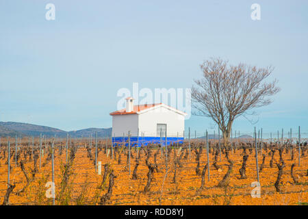 Weinberg und Hütte. Campo de Montiel, Ciudad Real Provinz, Castilla La Mancha, Spanien. Stockfoto
