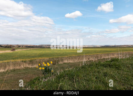 Blick in die Landschaft in Richtung Arundel, West Sussex, UK suchen Stockfoto