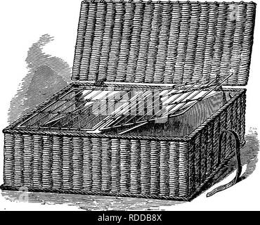 . Die praktischen Taube Keeper. Tauben. Körbe für die Tauben. 63 Diagonal (alle Taube Fächer sollten weiter an den Schultern der Vögel), entsprechend der Größe; für unsere Abbildung haben wir einen kleinen Korb genommen und nur eine Diagonale in jeder Hälfte, das Ganze so, unter vier Vögeln. Jetzt zwei 02 oen Klappe Türen machen, entweder von Licht Kabel oder wickei', nur groß. Abb. 20.- PiGEoH Korb. Genug zu liegen, ihre innei-Seiten auf dem mittleren Stück Holz, und Ihre äußeren Ecken auf kleinen unterstützt in den Ecken im Korb fixiert. Laufwerk in kleinen Heftklammern über den inneren Draht oder ein Stück der Wicker Stockfoto