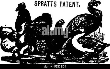 . Premium Liste und Vorschriften für die erste jährliche Ausstellung der New York Geflügel Exchange: im Madison Square Garden, New York, Dez. 14-21, 1887 gehalten zu werden. Geflügel. Im Auftrag des Ausschusses, die Geflügel und Hunde auf dieser Messe wird eingesperrt werden, Pokémon auf der Bank und gespeist durch. mkmmBKM^ Patent. Geflügel -^ Mahlzeit, der größte und einzige zuverlässige EIERPRODUZENTEN überhaupt in die Vereinigten Staaten. ^ SPRATTS PATENT PRAIRIE FLEISCH CRISSEL&gt; * nimmt den Platz von Insekten. SPRATTS PAT EN7 TAUBENFUTTER für die Aufzucht junger Jungvögel. SPRATTS PATENT ORIGINAL ENGLISCHE GEFLÜGEL MEDIKAMENTEN UND SEIFE. ROUP EINFÜGEN, TONIC Stockfoto