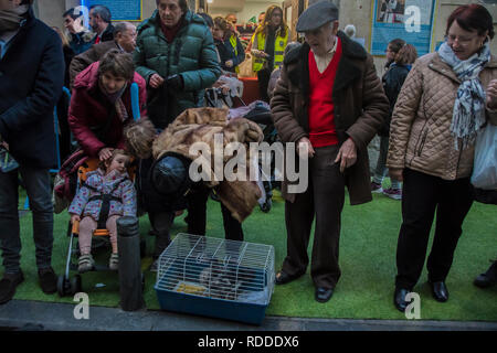 Madrid, Spanien. 17. Jan 2019. Eine Familie mit einer Ente in den Käfig in der Tradition von San Antonio Segen Tiere Credit: Alberto Sibaja Ramírez/Alamy leben Nachrichten Stockfoto