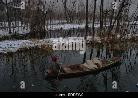 Srinagar, Jammu, Kaschmir, Indien. 17 Jan, 2019. Ein Kaschmirischen boatman Zeilen sein Boot in einem See an einem kalten Wintertag nach starker Schneefall in Srinagar, die Hauptstadt des indischen Teil Kaschmirs gesteuert. Kaschmir seine ersten Schneefall erlebt. Credit: Masrat Zahra/ZUMAPRESS.com/Alamy leben Nachrichten Stockfoto