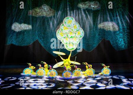 Sao Paulo, Brasilien. 17 Jan, 2019. Künstler aus Shenyang Acrobatic Troupe der China durchführen, Storniert Halle in Sao Paulo, Brasilien, Jan. 17, 2019. Quelle: Xinhua/Alamy leben Nachrichten Stockfoto