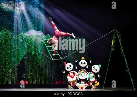 Sao Paulo, Brasilien. 17 Jan, 2019. Künstler aus Shenyang Acrobatic Troupe der China durchführen, Storniert Halle in Sao Paulo, Brasilien, Jan. 17, 2019. Quelle: Xinhua/Alamy leben Nachrichten Stockfoto