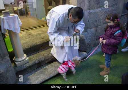 Januar 17, 2019 - Madrid, Madrid, Spanien - Der Priester gesehen Segen der Hund von einem kleinen Mädchen während der Prozession.. Tausende von Menschen brachten ihre Haustiere zu Madrid € ™ s St. Antonius Kirche am Tag des Schutzpatrons der Tiere gesegnet werden. Eine Prozession bekannt als â € oeLas vueltas de San Antonio € (die die Spaziergänge von St. Anthony), nahm es auf den Straßen rund um die Kirche und danach Haustiere von den Priestern gesegnet wurden. (Bild: © Lora Grigorova/SOPA Bilder über ZUMA Draht) Stockfoto