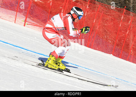 Cortina d'Ampezzo, Italien. 18. Januar 2019, Cortina d'Ampezzo, Italien; FIS Ski World Cup Damen bergab; Ramona Siebenhofer (AUT), die in Aktion: Aktion Plus Sport Bilder/Alamy leben Nachrichten Stockfoto