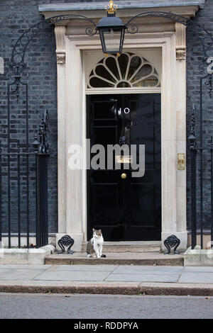 London, Großbritannien. Jan, 2019 18. Larry die Katze, Chief mouser an die Staatskasse, an der Nummer 10 Downing Street. Credit: Tommy London/Alamy leben Nachrichten Stockfoto
