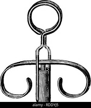 . Eine praktische Abhandlung über den Einsatz des Mikroskops, einschließlich der verschiedenen Methoden der Vorbereitung und Prüfung der tierischen, pflanzlichen und mineralischen Strukturen. Mikroskope, Mikroskopie. 136 Praktische ABHANDLUNG ÜBER DAS MIKROSKOP.. die Erfindung des späten Bruder des Autors, Herrn Edwin Quekett und mit Bild vertreten. 90, gefunden, äußerst nützlich. Sie sollten entweder aus Messing oder Neusilber, und kann beliebig lang sein, von neun Zoll nach oben. Der zentrale Teil ist ein Stück Draht etwa ein Achtel Zoll im Durchmesser; die oberen Ende ist fas-tened auf ein flaches Stück Metall, verbogene Runde ins t Stockfoto