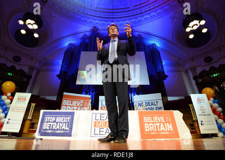 Verlassen bedeutet, Gründer Richard Tice bei einer verlassen, bedeutet Kundgebung an der Central Hall in London verlassen. Stockfoto