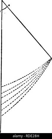 . Die spechte. Spechte. 90 DIE SPECHTE zeigt die Form der Kurve in 6 Arten, und zeigt, daß, während die Cur-vature ist weniger, als wir erwarten konnten, trägt es einige Verhältnis zu Art und Weise der Vogel der Uving; denn wir sehen, dass die streng arboreal Spechte spitzer Schwanz als die Terrestrische Arten haben, und dass die Anzahl der Farbabstufungen trägt einen direkten Bezug auf die Zeit, die auf dem Baum verbracht - Trunks. Es gibt noch eine dritte difEerence, die Form der einzelnen Feder, auf die wir shaU re-fer wieder; aber jetzt wollen wir der verwendet und bedeutet prüfen - ing der gebogenen Ende. Ich w Stockfoto