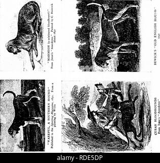 . Der Hund Buch: eine populäre Geschichte des Hundes, mit praktischen Informationen über die Pflege und Verwaltung von Haus, Zwinger, und Ausstellung Hunde, und Beschreibungen aller wichtigen Rassen. Hunde. a-t&lt; = £&lt; £ Q. Bitte beachten Sie, dass diese Bilder sind von der gescannten Seite Bilder, die digital für die Lesbarkeit verbessert haben mögen - Färbung und Aussehen dieser Abbildungen können nicht perfekt dem Original ähneln. extrahiert. Watson, James, 1845 -. New York: Doubleday, Page&amp; Co. Stockfoto