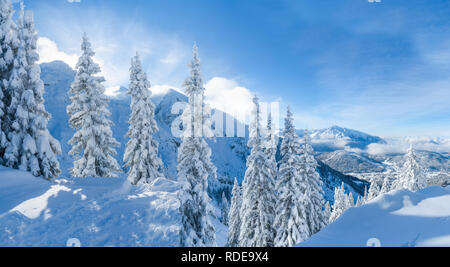 Weiten Panoramablick der Winterlandschaft mit Schnee bedeckten Bäumen und Alpen in Seefeld in Tirol. Winter in Österreich Stockfoto