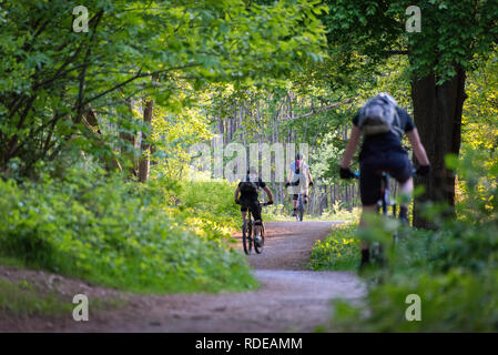 Radfahren in Cobham Woods, Kent, Großbritannien Stockfoto