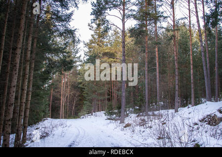 Waldviertel, Wandern im Schnee an einem sonnigen Tag Stockfoto