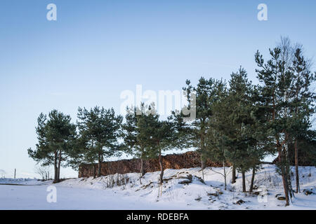 Waldviertel, Wandern im Schnee an einem sonnigen Tag Stockfoto