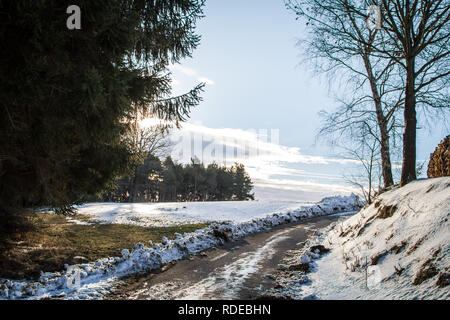 Waldviertel, Wandern im Schnee an einem sonnigen Tag Stockfoto