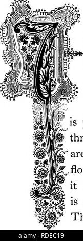 . Die Floral Kingdom: Geschichte, Stimmung und Poesie: ein Wörterbuch mit mehr als drei hundert Pflanzen, mit den Gattungen und Familien, zu denen sie gehören, und die Sprache der jeweils passende Edelsteine zu Poesie dargestellt. Blume, Blumen in der Literatur. 1 ^ & Amp; .. Cappa ITiajOV. Natürliche Ordnung: ComfositceâAster Familie. "UDGED durch die beliebte Urteil, die Klette ist eine unattraktive Unkraut, einer der gröbsten und die meisten abscheulich der Pflanzen, die die Straßenränder, barnyards und Felder befallen, doch die Wurzeln in der Medizin als Stärkungsmittel und alternative und Sanftem pro-spir zu produzieren verwendet werden. Stockfoto