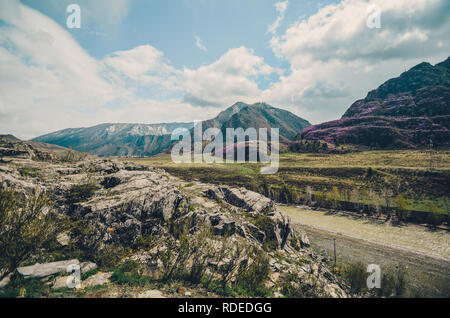 Berglandschaften der Chui Trakt, Altai. Tal Chuya. Frühjahrsblüte in den Bergen Stockfoto