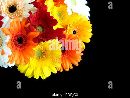 Schöne runde motley Bouquet von Cognac Gerberas in die linke Ecke des Fotos isoliert auf schwarzem Hintergrund oben closeup Stockfoto