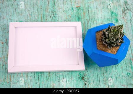 Ansicht von oben saftige in Blau konkrete Topf und leeren weißen Rahmen mit Platz für Text auf einem Mint Green schäbig Holz- Hintergrund Stockfoto
