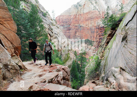 Paar Wandern auf Hidden Canyon Trail im Zion National Park, Utah, USA. Stockfoto