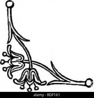 . Die Sprache der Blumen: oder, Floral Embleme von Gedanken, Gefühlen und Empfindungen... Blume Sprache. Der Granatapfel. Denn er weiß, dass er damit die Happy symbol Ihrer gegenseitigen Zuneigung interpretieren; "Unser Glück, unsere Ängste zu übertreffen." Alle Welt kennt und bewundert die weißen Spitzen und Stars der Tuberose; jene schönen Spikes sind die Termina- von einem hohen und schlanken Stamm, und sie diffundieren sehr durchdringend und berauschenden Duft. Shelley sagt von ihm, "die süße Tuberose, die schönste Blume für Geruch, dass Schläge;" und Moore erzählt uns, wie es ist e Stockfoto