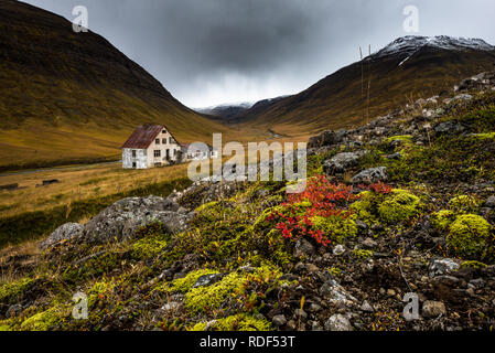 Verlassenes Haus in Nordisland Stockfoto
