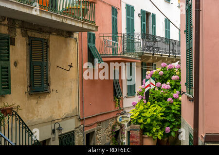 Enge Gasse mit Blumen in Portofino, Cinque Terre, Ligurien, Italien Stockfoto