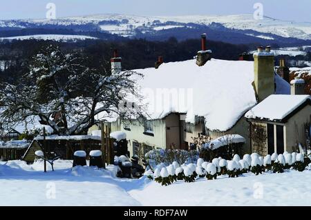 Schöne reetgedeckte Cottages in Devon. Nach schweren Schnee, mit Dartmoor in der Ferne. Im März 2018 übernommen. Stockfoto