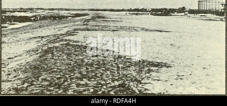 . Auswirkungen der Strand Auffüllen auf die Nearshore sand Fauna im Imperial Beach, Kalifornien. Marinen Sedimenten. 10. JUNI 1977. iSmmmmjxLm 24 MÄRZ 1978 Abbildung 5. Station A (Northern Bagger - Deponie) Veränderungen in den Strand Profil. 32. Bitte beachten Sie, dass diese Bilder sind von der gescannten Seite Bilder, die digital für die Lesbarkeit verbessert haben mögen - Färbung und Aussehen dieser Abbildungen können nicht perfekt dem Original ähneln. extrahiert. Parr, Terence; Diener, Douglas; Lacy, Stephen; Coastal Engineering Research Center (U S.). Fort Belvoir, Va: US Armee Korps der Ingenieure, Coa Stockfoto