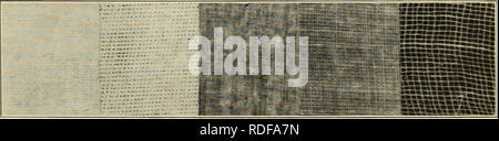 . Die Auswirkungen der künstlichen Schattierung auf das Wachstum der Pflanzen in Louisiana. Gärtnern im Schatten; Wachstum (Pflanzen); Landwirtschaft. Abb. 1.- Betten im Schatten der Experimente in Baton Rouge, La. Verwendet: ein auf der rechten Seite; B auf der linken Seite. Das lange Maß jedes Bett ist Ost und West. Abb. 2.-Reproduktionen von Fotografien, die die Textur der Tücher auf die Abschnitte 1 bis 5 verwendet und Angabe der relativen Licht.. Bitte beachten Sie, dass diese Bilder aus gescannten Seite Bilder, die digital für die Lesbarkeit verbessert haben mögen - Färbung und Aussehen dieser Abbildungen extrahiert werden kann Stockfoto
