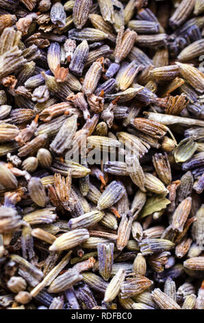 Natürliche getrocknetem Lavendel Blüten als natürliche Blumen oder Kräuter Hintergrund. Stockfoto