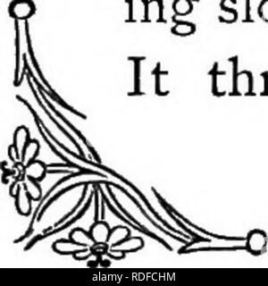 . Die Sprache der Blumen: oder, Floral Embleme von Gedanken, Gefühlen und Empfindungen... Blume Sprache. Ein Blumenstrauß. gutes Herz und gründliche Aufrichtigkeit. Eine solche ist in hohem Maße zu der Mann der poHshed Art und Weise, deren jedes Wort ist Honig, - und jeder Blick ein Lächeln vorzuziehen, aber deren ganze Seele verbogen ist bei der Verwendung von ausschließlich sie für seine Zwecke zu nutzen. Borretsch ist ein grosser Liebling mit der Honig-Biene. Wir haben die Samen weitgehend in einigen Jahren^ gesät und bewertet wird, nicht nur, weil wir auch unseren Honig sammeln Freunde laufend über seine Blumen beschäftigt, aber für die wunderschöne blaue Farbe Stockfoto