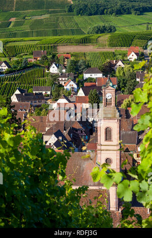 Am frühen Morgen mit Blick auf Eglise Evangelischen und mittelalterlichen Dorf Riquewihr, entlang der Weinstraße, Elsass, Haut-Rhin, Frankreich Stockfoto