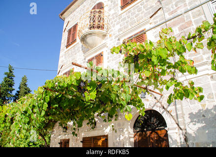 Traditionelle Steinhaus auf Rose Village, Bucht von Kotor, Montenegro. Stockfoto