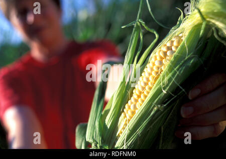 Frau mit der Aehre, USA Stockfoto