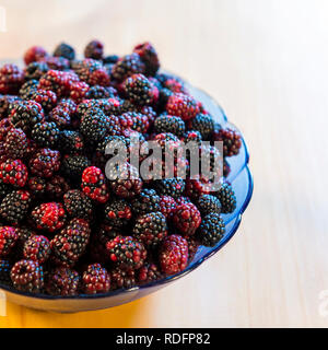 Schüssel mit wilden Brombeeren in den Farben rot und schwarz Schuß von Overhead Stockfoto