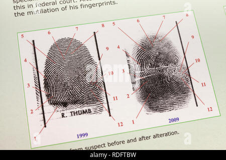 Leitfaden zur Fingerabdruckanalyse (Fingerprint-Vergleich) - USA Stockfoto