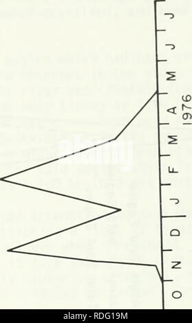 . Die Auswirkungen von veränderten Fliessgewässer auf Zugvögel des Yellowstone River Basin, Montana. Wasser Vögel; Wasservögel; Vögel; Vögel; Fliessgewässer. O r-"^)=&lt;T) a) -3- O. Bitte beachten Sie, dass diese Bilder sind von der gescannten Seite Bilder, die digital für die Lesbarkeit verbessert haben mögen - Färbung und Aussehen dieser Abbildungen können nicht perfekt dem Original ähneln. extrahiert. Hinz, Tom; Old West regionale Kommission; Montana. Wasserressourcen Division; Montana. Abt. der Fische und des Spiels. Helena: Wasserressourcen Division, Montana Abt. der natürlichen Ressourcen&amp; Conservat Stockfoto