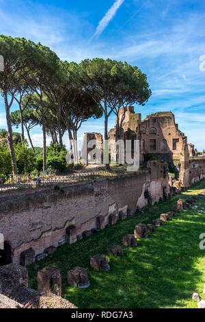 Die antiken Ruinen von Hippodrom von Domitian am Forum Romanum, Palatin in Rom. Berühmte Sehenswürdigkeiten Stockfoto