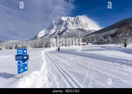 Winter Berglandschaft mit präparierten Loipen und blauer Himmel in sonniger Tag. Ehrwalder Tal, Tirol, Alpen, Österreich, Zugspitzmassiv im Hintergrund. Stockfoto