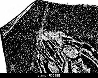 . Bericht des Geological Survey von Ohio. Geologie, Paläontologie, Minen und Bodenschätzen; Zoologie; Paläobotanik; Botanik. . Bitte beachten Sie, dass diese Bilder sind von der gescannten Seite Bilder, die digital für die Lesbarkeit verbessert haben mögen - Färbung und Aussehen dieser Abbildungen können nicht perfekt dem Original ähneln. extrahiert. Geologische Übersicht von Ohio. Columbus, Nevins & Amp; Myers, Drucker Stockfoto