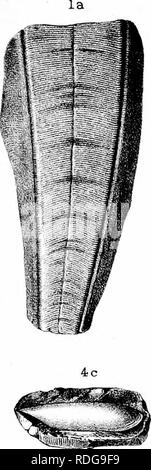 . Bericht des Geological Survey von Ohio. Geologie, Paläontologie, Minen und Bodenschätzen; Zoologie; Paläobotanik; Botanik. m) t0. CAKBiDHIIFEISOITS. , Wa^'e^Ly Gruppe. * T'x,. lonnnr.. Bitte beachten Sie, dass diese Bilder sind von der gescannten Seite Bilder, die digital für die Lesbarkeit verbessert haben mögen - Färbung und Aussehen dieser Abbildungen können nicht perfekt dem Original ähneln. extrahiert. Geologische Übersicht von Ohio. Columbus, Nevins & Amp; Myers, Drucker Stockfoto