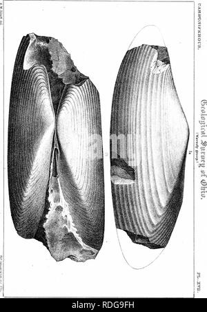 . Bericht des Geological Survey von Ohio. Geologie, Paläontologie, Minen und Bodenschätzen; Zoologie; Paläobotanik; Botanik. . Bitte beachten Sie, dass diese Bilder sind von der gescannten Seite Bilder, die digital für die Lesbarkeit verbessert haben mögen - Färbung und Aussehen dieser Abbildungen können nicht perfekt dem Original ähneln. extrahiert. Geologische Übersicht von Ohio. Columbus, Nevins & Amp; Myers, Drucker Stockfoto