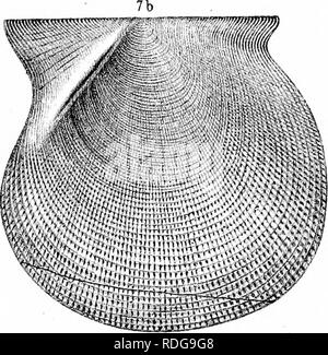 . Bericht des Geological Survey von Ohio. Geologie, Paläontologie, Minen und Bodenschätzen; Zoologie; Paläobotanik; Botanik. . Bitte beachten Sie, dass diese Bilder sind von der gescannten Seite Bilder, die digital für die Lesbarkeit verbessert haben mögen - Färbung und Aussehen dieser Abbildungen können nicht perfekt dem Original ähneln. extrahiert. Geologische Übersicht von Ohio. Columbus, Nevins & Amp; Myers, Drucker Stockfoto