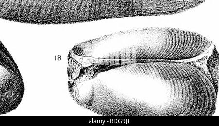 . Bericht des Geological Survey von Ohio. Geologie, Paläontologie, Minen und Bodenschätzen; Zoologie; Paläobotanik; Botanik. H IV! Mnrliji (in:. Bitte beachten Sie, dass diese Bilder sind von der gescannten Seite Bilder, die digital für die Lesbarkeit verbessert haben mögen - Färbung und Aussehen dieser Abbildungen können nicht perfekt dem Original ähneln. extrahiert. Geologische Übersicht von Ohio. Columbus, Nevins & Amp; Myers, Drucker Stockfoto