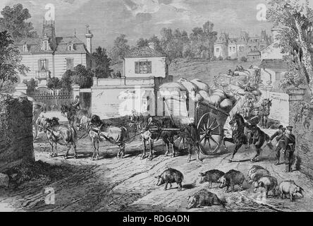 Bestellanforderungen Konvoi durch Montlignon außerhalb von Paris, 1550 Kriegschronik 1870-1871, Illustrierte Krieg Stockfoto