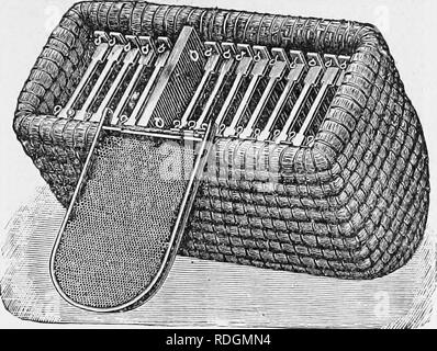 . Langstroth auf dem Hive und Honig-Biene. Bienen. Bewegliche-FRAME NESSELSUCHT. 147 Mit der Langstroth Bienenkorb, erkennen jetzt, dass Erfolg prin-cipally Hinweis auf die Manipulationen, die es ermöglicht. 296. Nein, wenn der Student wird aber beziehen sich auf eine frühere Ausgabe. Abb. 62. Die GRAVENHOEST HIVE, (von der "Illustrierte Bienenzeitung."). Bitte beachten Sie, dass diese Bilder sind von der gescannten Seite Bilder, die digital für die Lesbarkeit verbessert haben mögen - Färbung und Aussehen dieser Abbildungen können nicht perfekt dem Original ähneln. extrahiert. Langstroth, L.L. (Lorenzo Lorraine), 1810-1895; Da Stockfoto