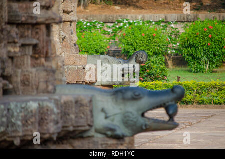 Skulptur eines Makara (Krokodil), Wasserspeier, auf Mayadevi Tempel bei Sun Tempel, Konark. Stockfoto