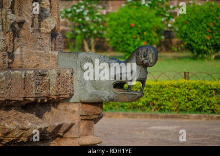 Skulptur eines Makara (Krokodil), Wasserspeier, auf Mayadevi Tempel bei Sun Tempel, Konark. Stockfoto